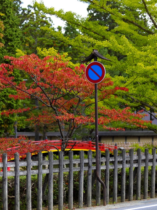 色付き始めの紅葉 ～ 高野山①_b0138101_2322129.jpg