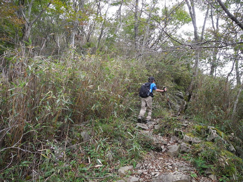 a0158802_224317.jpg