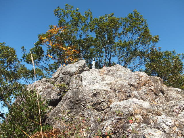 a0271502_21311887.jpg