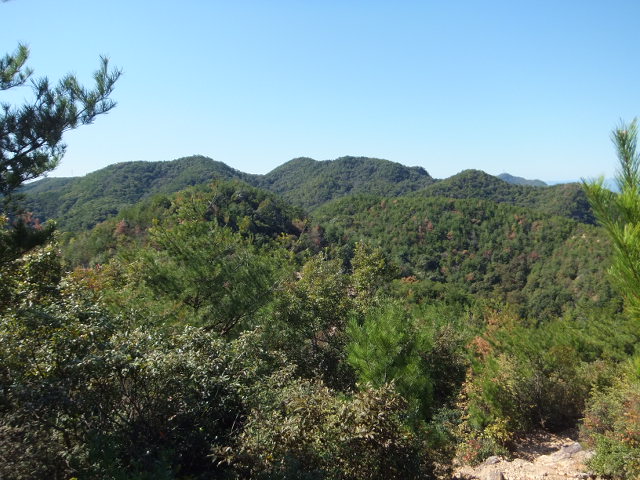 a0271502_21424010.jpg