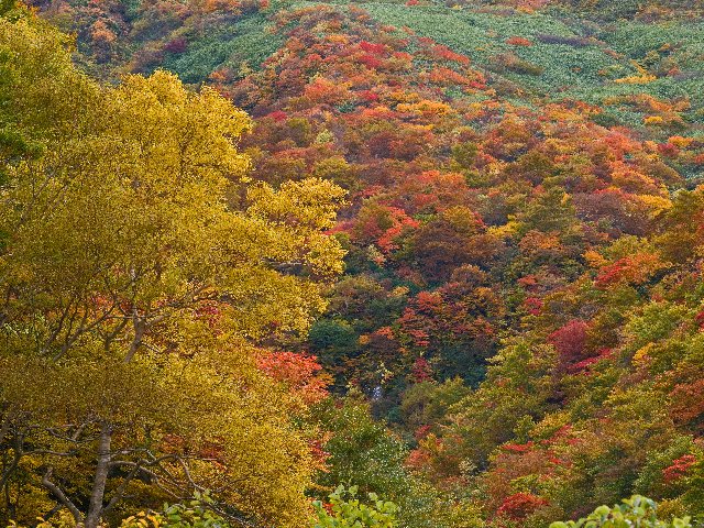 c0008502_20342794.jpg