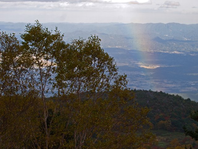 c0008502_20464249.jpg