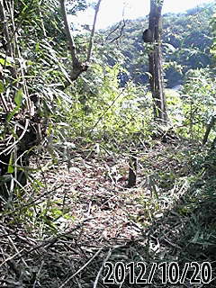 e0270403_20515881.jpg