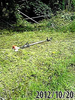 e0270403_21251062.jpg