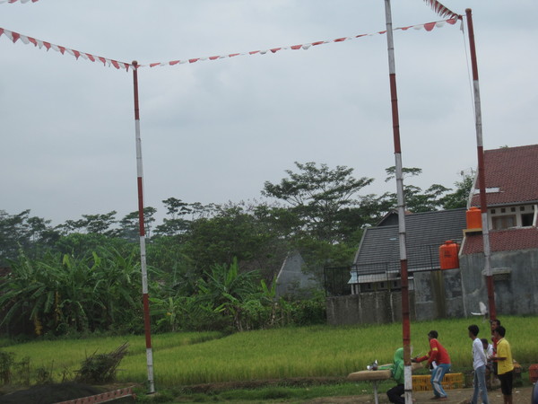 a0247904_422926.jpg