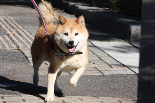 a0285205_151091.jpg