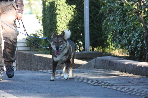a0285205_15124381.jpg