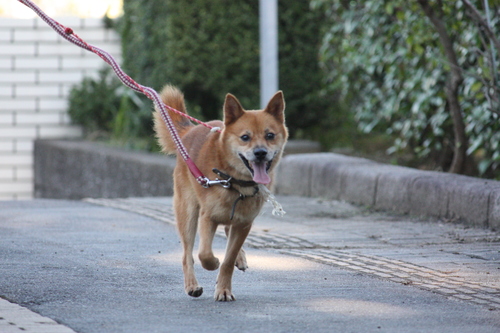 a0285205_154271.jpg