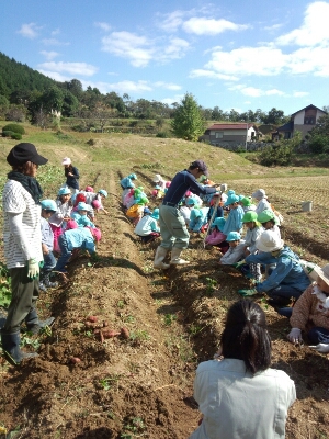 e0124705_1733.jpg