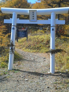 b0031710_12133141.jpg