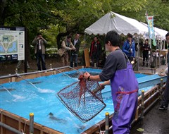 平成24年10月20日 道民森づくり ネットワークの集い2012 天候:雨時々曇 参加人数:13名_c0173813_22172544.jpg