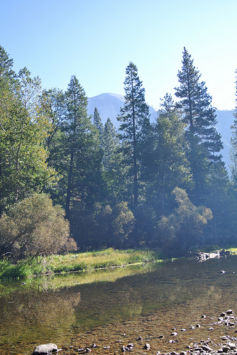 e0259713_312024.jpg