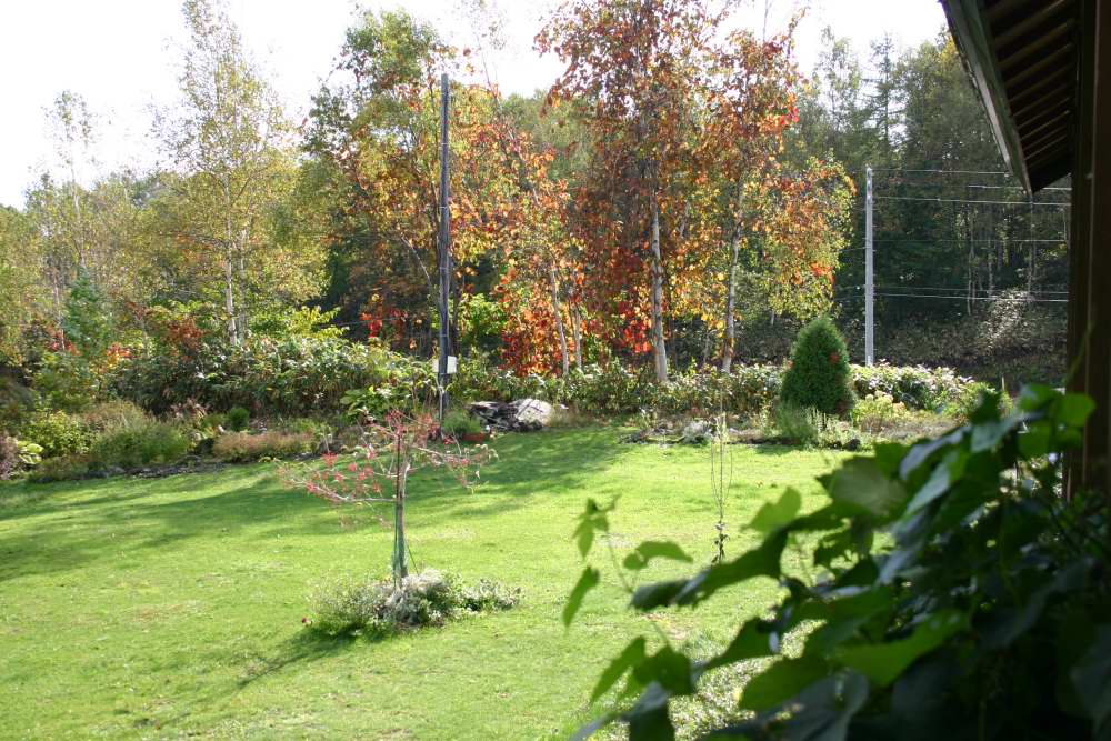 d0143719_9213551.jpg