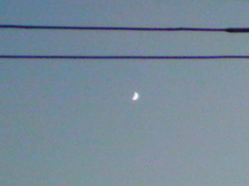 c0097620_23505193.jpg