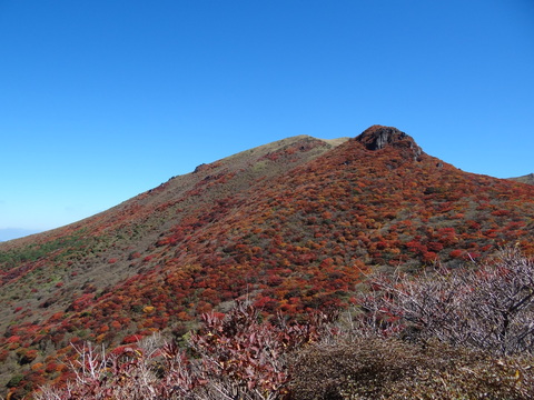 f0198620_8391763.jpg