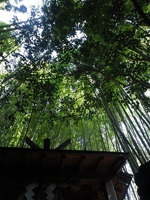 b0138522_0101664.jpg