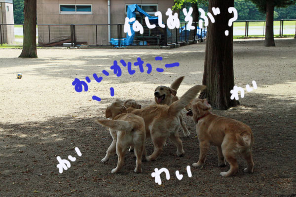f0203423_1650686.jpg