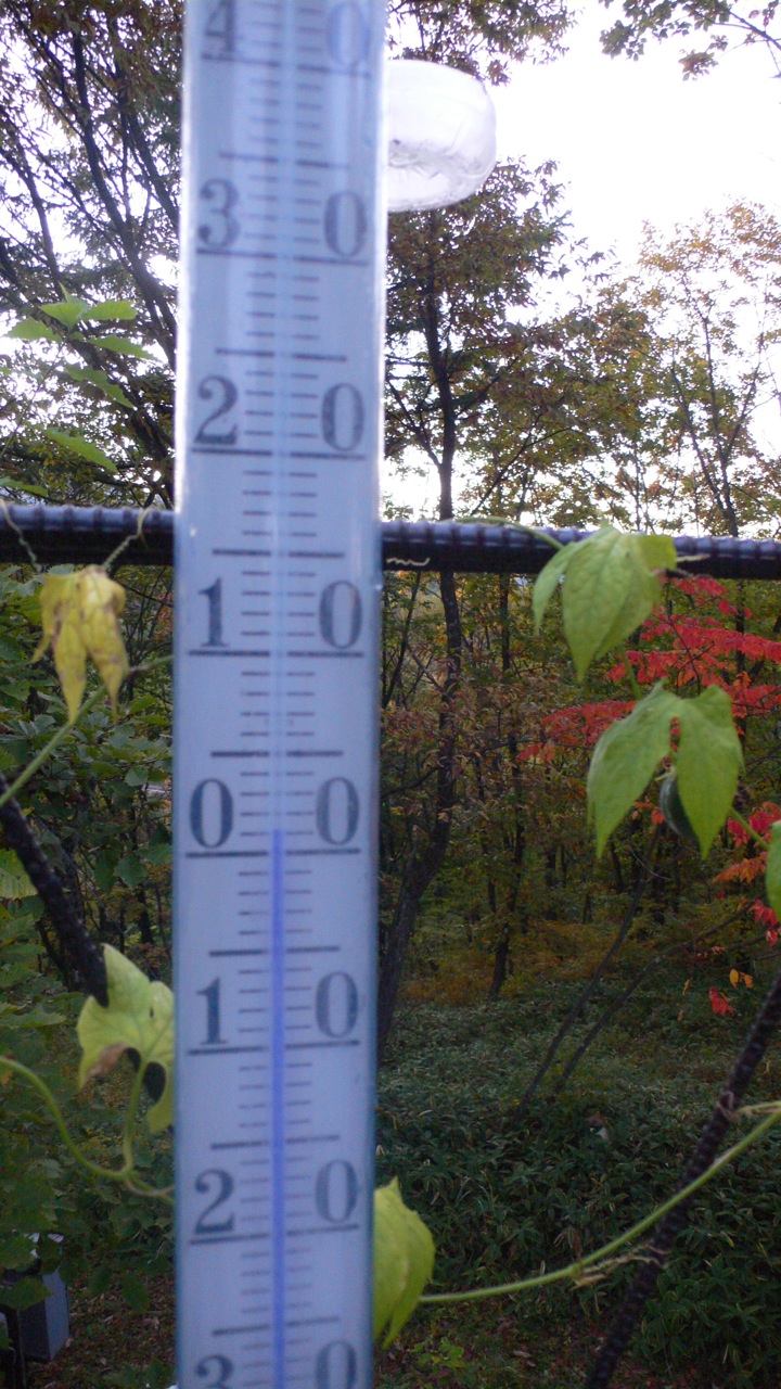 f0226226_6195397.jpg