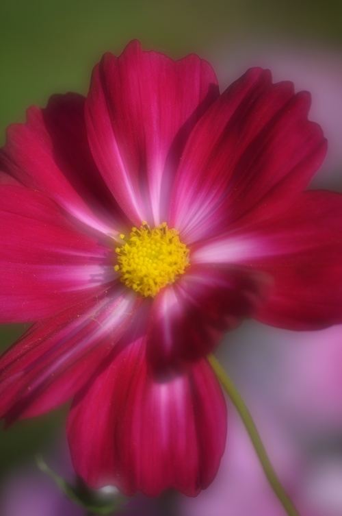 a0248728_2312246.jpg