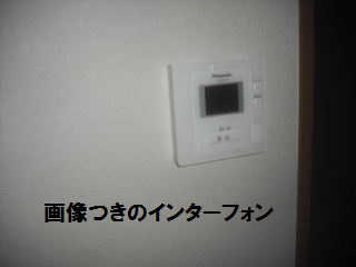 27.5日目の作業_f0031037_2143348.jpg