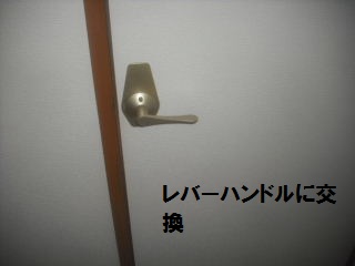 27.5日目の作業_f0031037_2143977.jpg