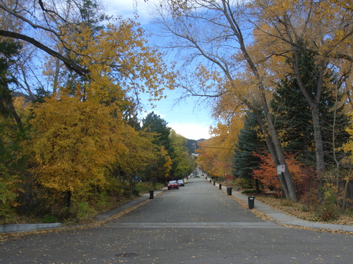 ロッキー山脈国立公園_e0194142_1657329.jpg