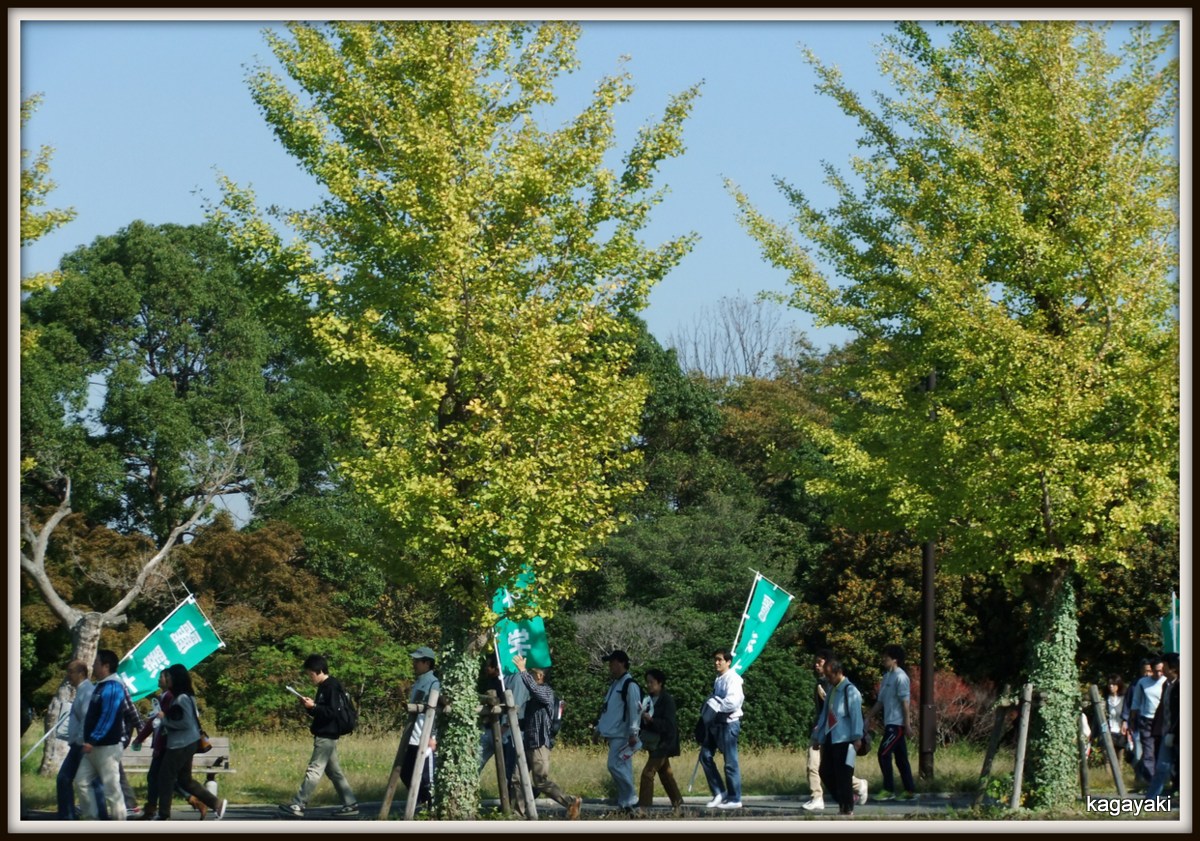 第89回箱根駅伝予選会　立川昭和記念公園にて_e0206242_23405787.jpg