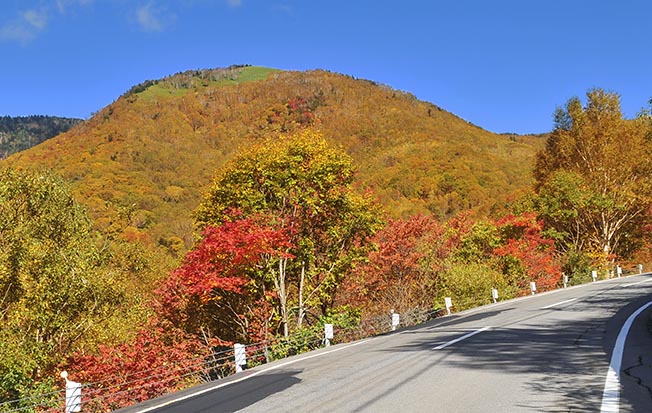 万座温泉は紅葉真っ盛り　(No.1514　12/10/20)_d0151247_23105281.jpg