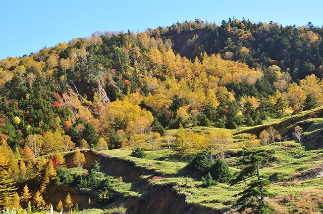 万座温泉は紅葉真っ盛り　(No.1514　12/10/20)_d0151247_23114694.jpg