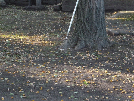 b0238249_1852656.jpg