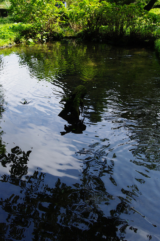 f0152550_18124735.jpg