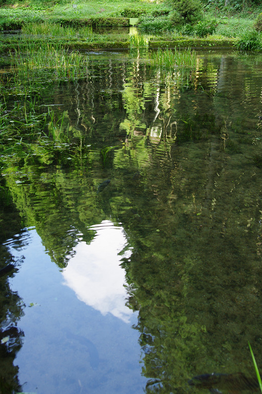 f0152550_18125996.jpg