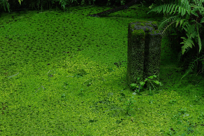 f0152550_18131022.jpg