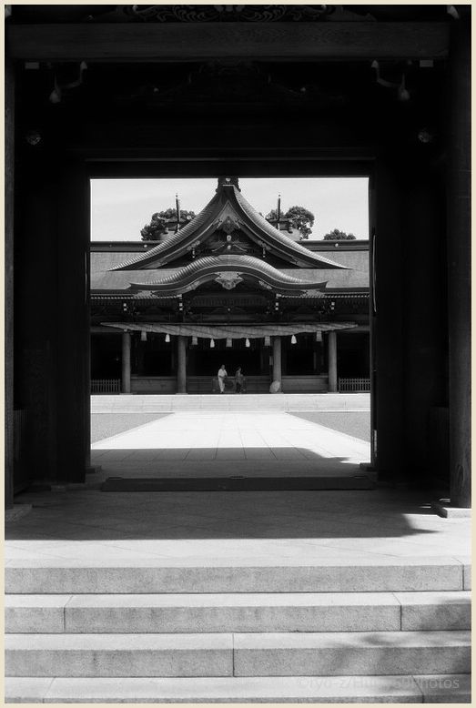 寒川神社　Leica M3_e0063851_22454925.jpg