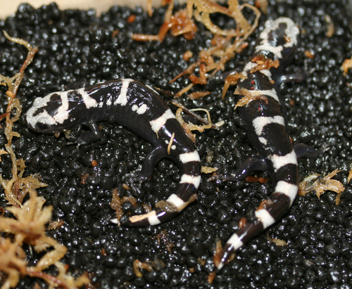 f0224952_17394750.jpg