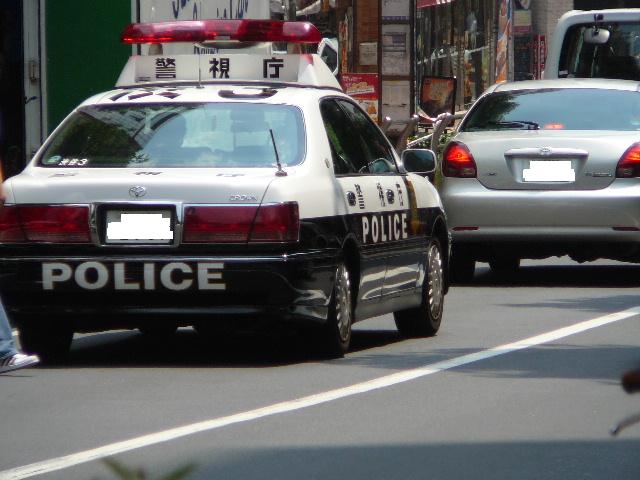 f0188254_156195.jpg