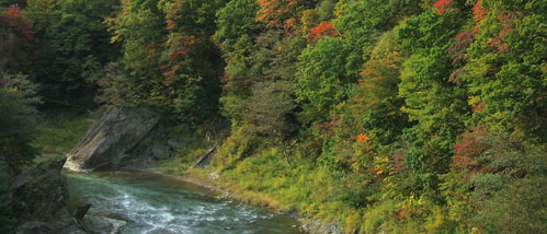 c0097856_96397.jpg