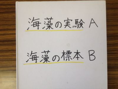 館小の子どもたちの作品から5_b0211757_13422721.jpg