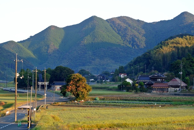 のんびり朝景色_a0171959_22481066.jpg