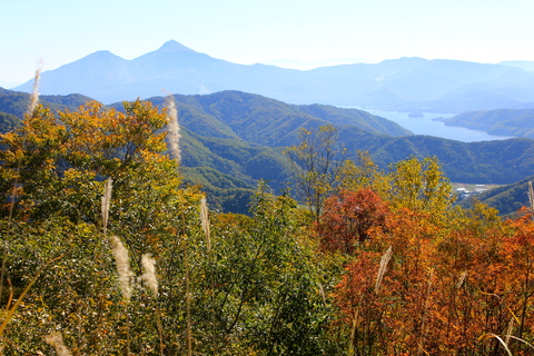 a0248459_1651140.jpg