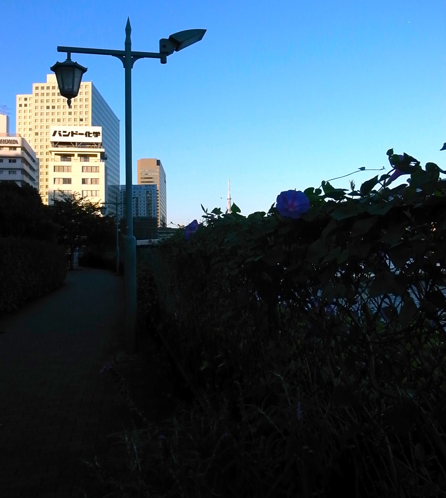 f0134963_195534.jpg