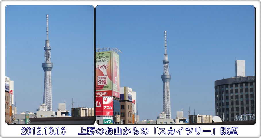 a0052666_0441627.jpg