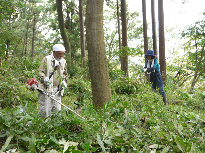 イロハモミジ植樹候補地整備：10・20六国見山定例手入れ_c0014967_21342392.jpg