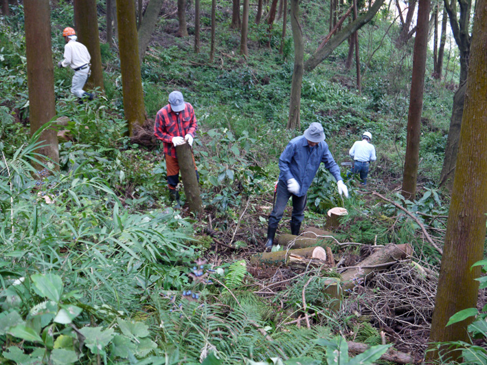 イロハモミジ植樹候補地整備：10・20六国見山定例手入れ_c0014967_2134437.jpg