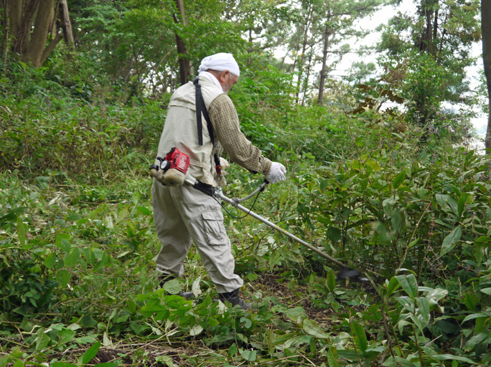 イロハモミジ植樹候補地整備：10・20六国見山定例手入れ_c0014967_21353418.jpg