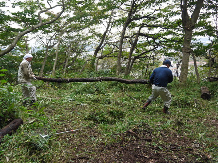 イロハモミジ植樹候補地整備：10・20六国見山定例手入れ_c0014967_21363076.jpg