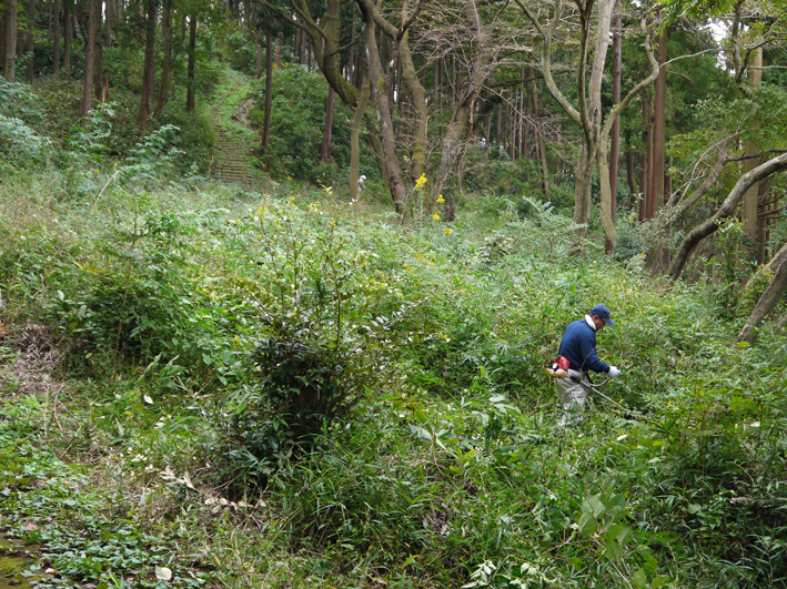 イロハモミジ植樹候補地整備：10・20六国見山定例手入れ_c0014967_21394086.jpg
