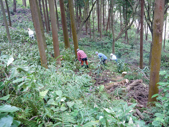 イロハモミジ植樹候補地整備：10・20六国見山定例手入れ_c0014967_21404737.jpg