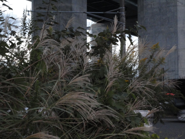 d0109373_215589.jpg