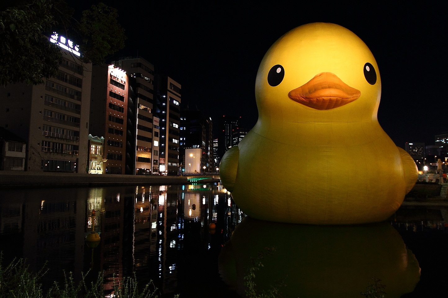 Rubber Duck (ﾗﾊﾞｰ･ﾀﾞｯｸ） 中之島公園バラ園 2012 その６_f0032275_043080.jpg